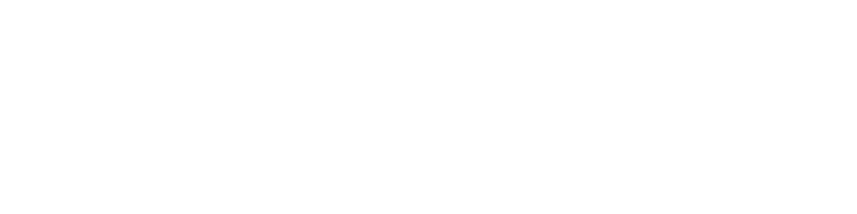 The Pretty Dress Company logo