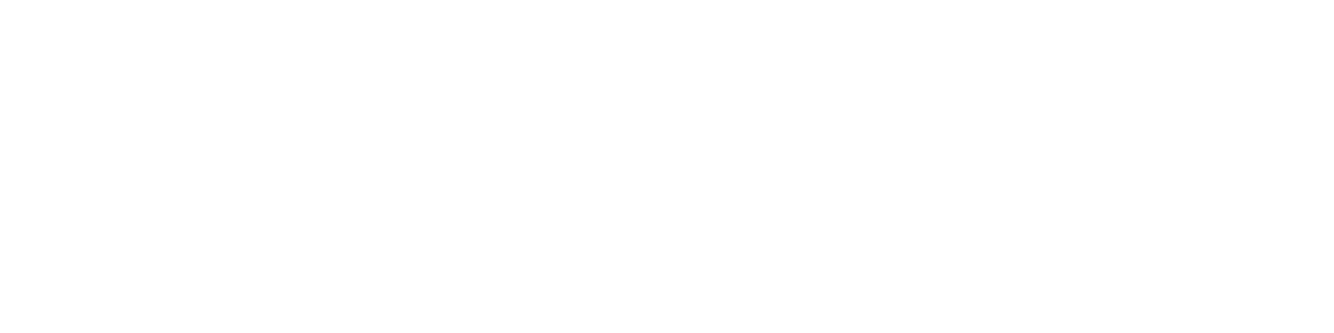 LAZ Inc. logo
